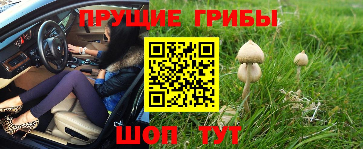 Псилоцибиновые грибы GOLDEN TEACHER Реж