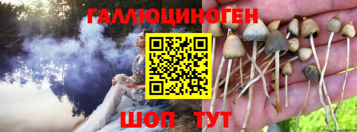 Галлюциногенные грибы мухоморы  Вход с VPN  Реж 